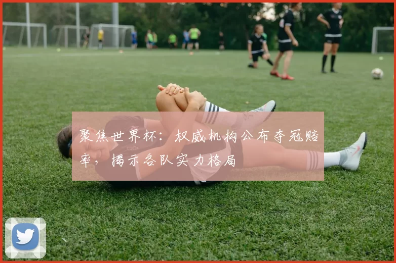 聚焦世界杯:权威机构公布夺冠赔率,揭示各队实力格局