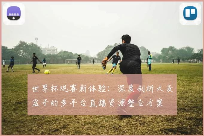 世界杯观赛新体验:深度剖析大麦盒子的多平台直播资源整合方案