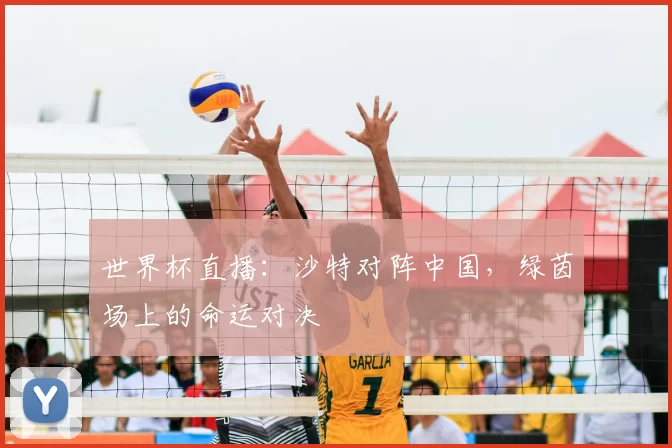 世界杯直播:沙特对阵中国,绿茵场上的命运对决