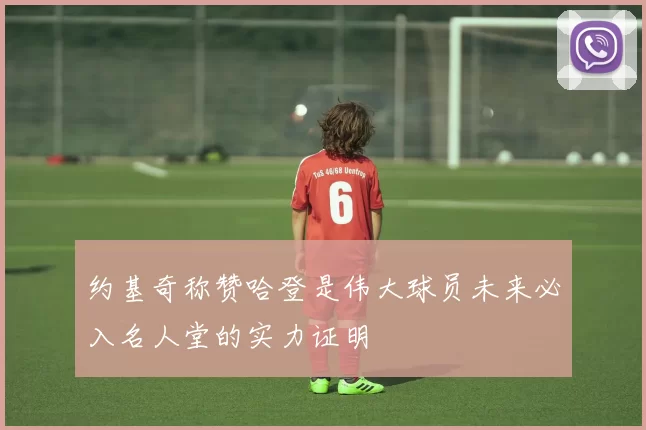 约基奇称赞哈登是伟大球员未来必入名人堂的实力证明