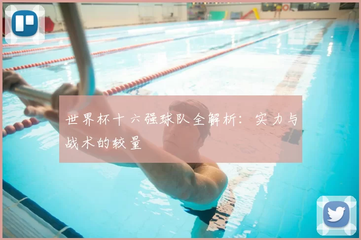 世界杯十六强球队全解析:实力与战术的较量