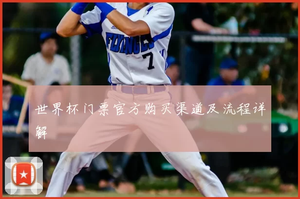 世界杯门票官方购买渠道及流程详解