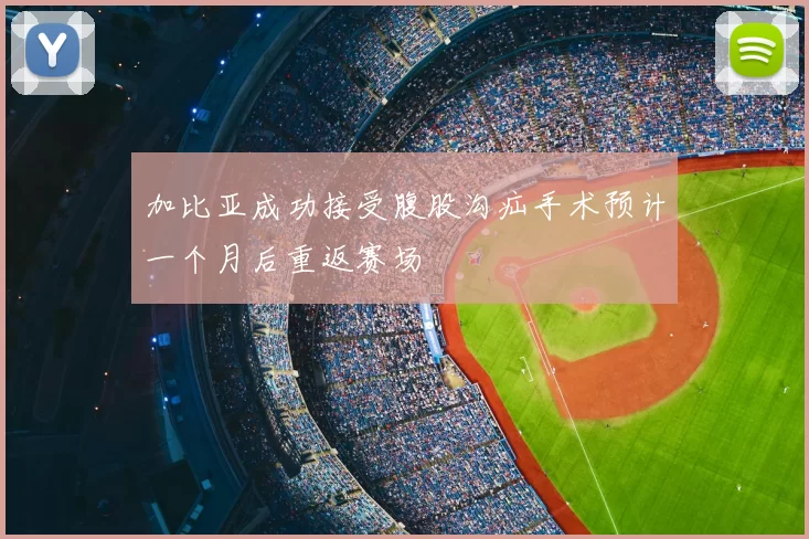 加比亚成功接受腹股沟疝手术预计一个月后重返赛场