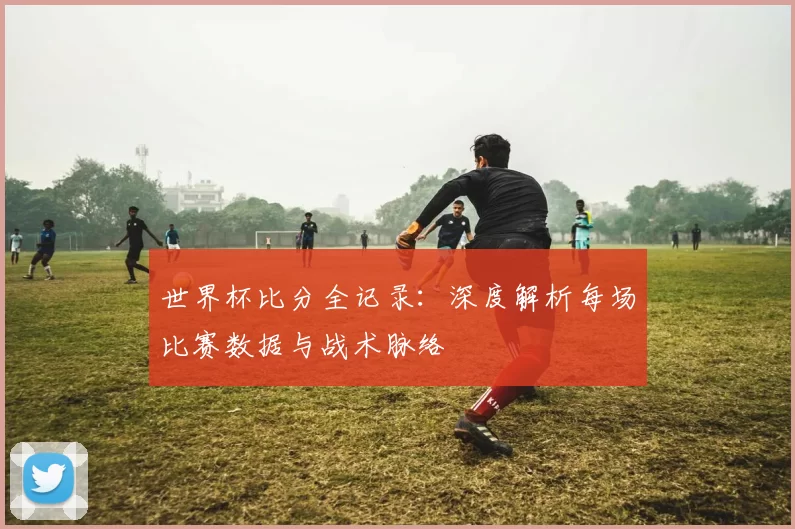 世界杯比分全记录:深度解析每场比赛数据与战术脉络