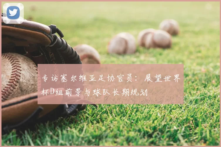 专访塞尔维亚足协官员：展望世界杯D组前景与球队长期规划