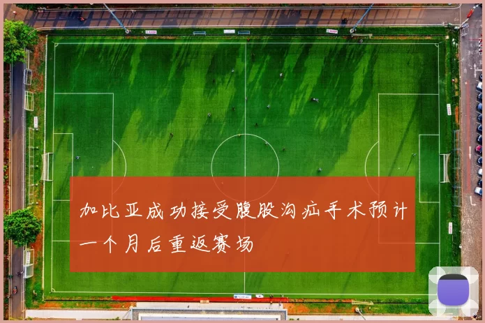 加比亚成功接受腹股沟疝手术预计一个月后重返赛场