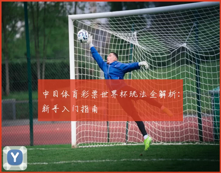 中目体育彩票世界杯玩法全解析：新手入门指南