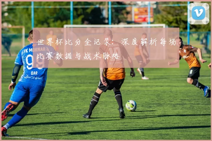 世界杯比分全记录:深度解析每场比赛数据与战术脉络