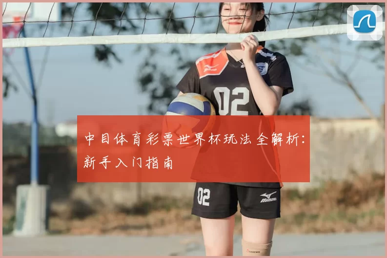 中目体育彩票世界杯玩法全解析:新手入门指南