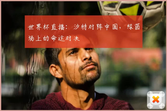世界杯直播:沙特对阵中国,绿茵场上的命运对决