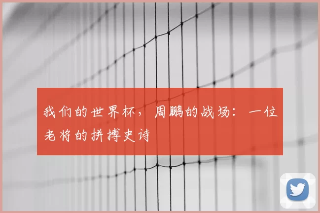 我们的世界杯,周鹏的战场:一位老将的拼搏史诗